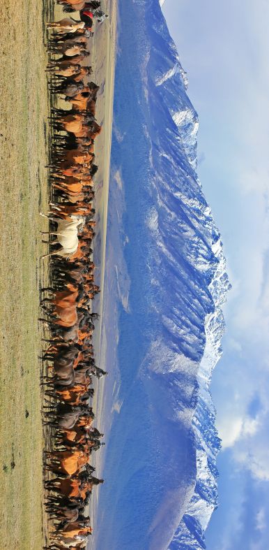 f{(dio)Ј(bo)zo(h)ƾ